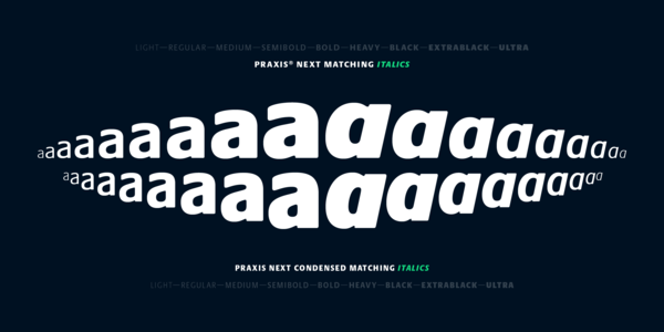 Small_mt_fonts_praxis_next_gallery_003@2x