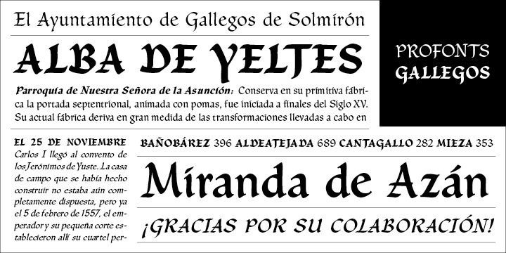 Gallegos Pro is a classical, pen-drawn upright and non-connecting script useful for many applications, e.g. book titles, ads, magazines or any kind of display work. Its calligraphic character shapes clearly remind of the ink stroke. There is no doubt about its German origin, and fine and elegant old fashion look is clearly intentional.